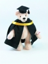 GRAD BEAR 4